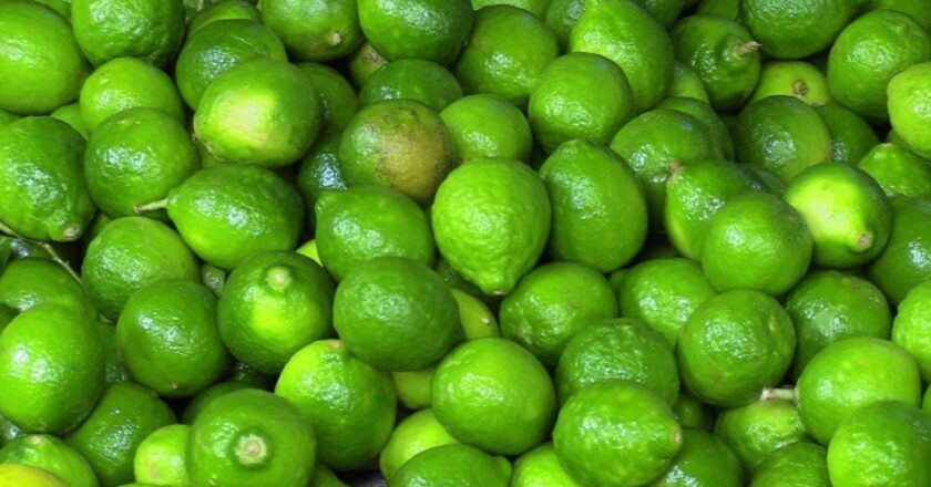 El precio del limón se dispara en Apatzingán